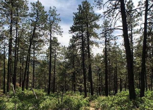 Property at TBD Jackalope Dr, Bayfield, CO 81122