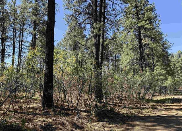 Property at 156 Lake View Cir, Bayfield, CO 81122