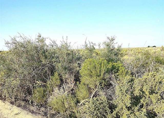 Property at Parcel 1 Subdivsion Plat For Area 420, Moffat, CO 81143
