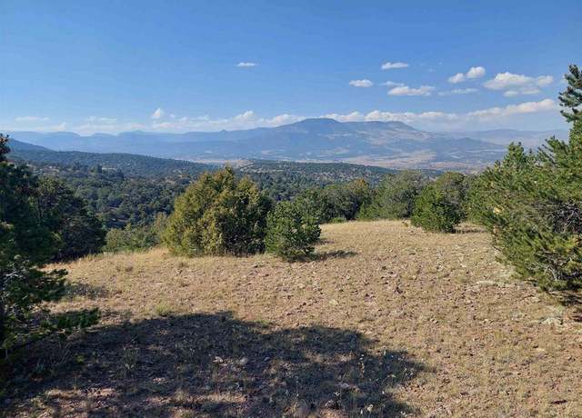 Property at TBD Pinon Hills Rd, South Fork, CO 81154