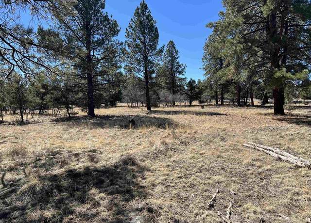 Property at 63 Pronghorn Ln, Ridgway, CO 81432