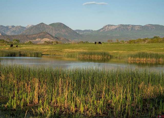 Property at 4369 Cattle Dr, Crawford, CO 81415, 4 beds, 2 baths