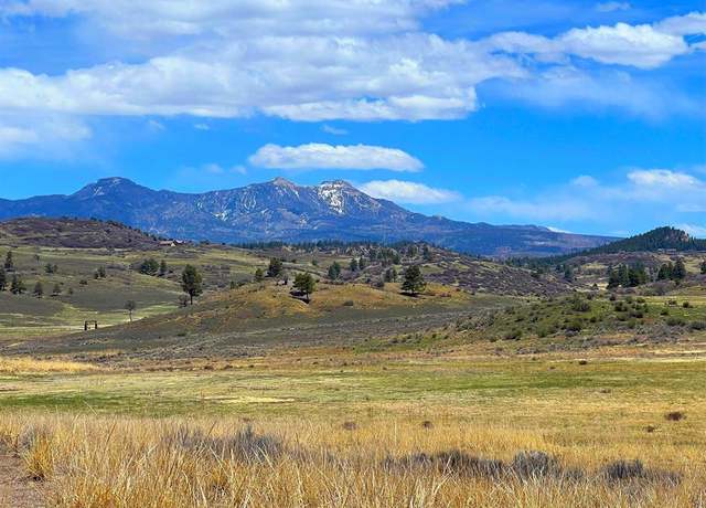Property at 223 Spring Valley Ranch Rd, Pagosa Springs, CO 81147