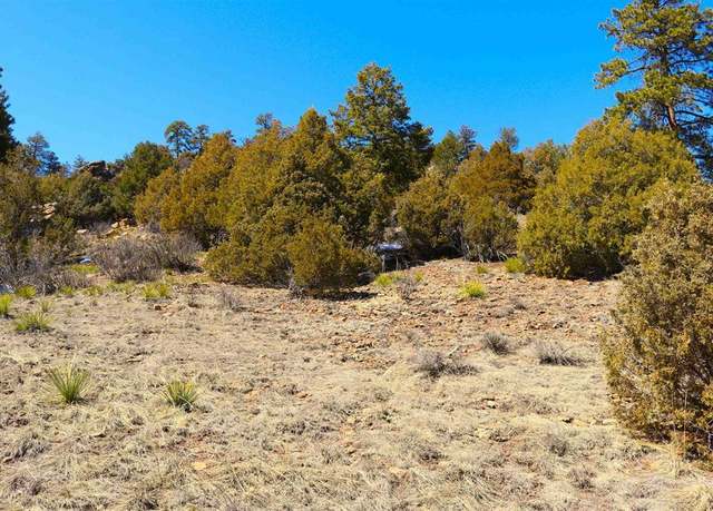 Property at 67 Hillside Ln, South Fork, CO 81154