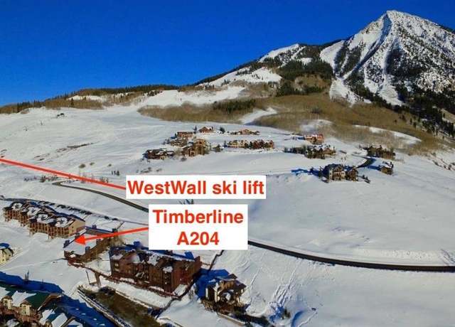 Property at 60 Hunter Hill Rd Unit A204, Crested Butte, CO 81225, 1 bed, 1 bath