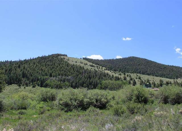 Property at 8708 San Francisco Creek Rd, Del Norte, CO 81132