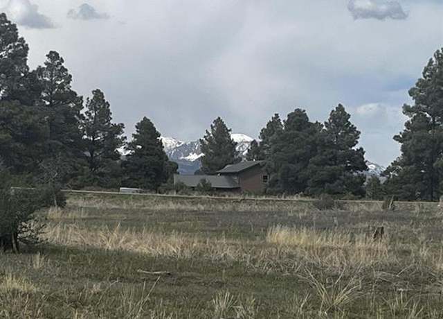 Property at 317 Domicile Cir, Pagosa Springs, CO 81147