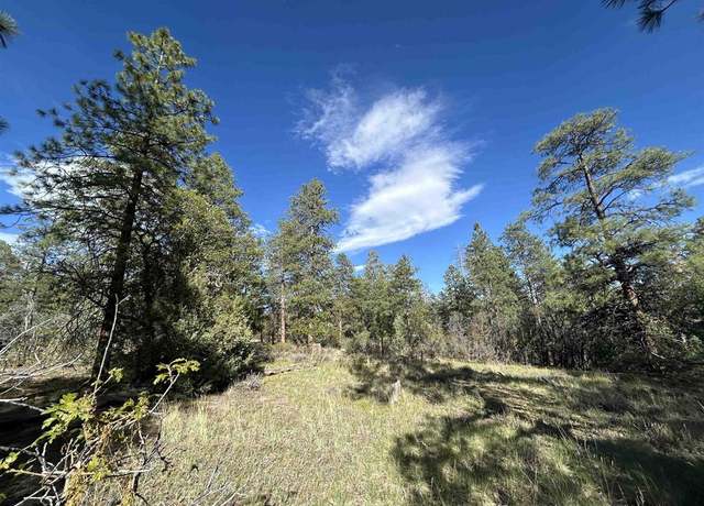 Property at 1333 Doc Adams Rd, Pagosa Springs, CO 81147