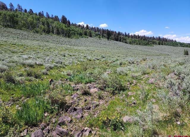 Property at TBD Buck Run Rd, Powderhorn, CO 81243