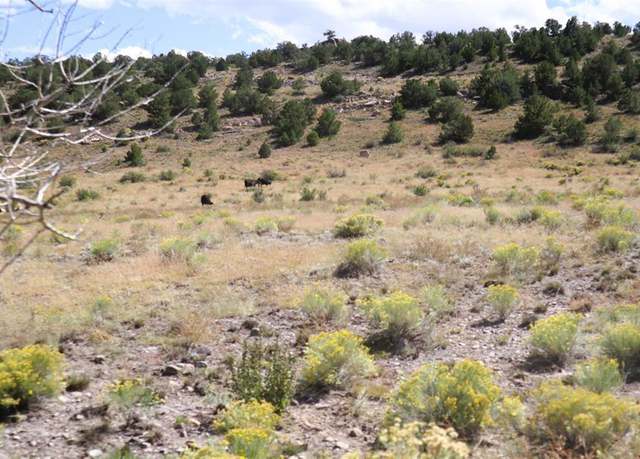 Property at Tract 36 Wapiti Ridge Rd, Del Norte, CO 81132