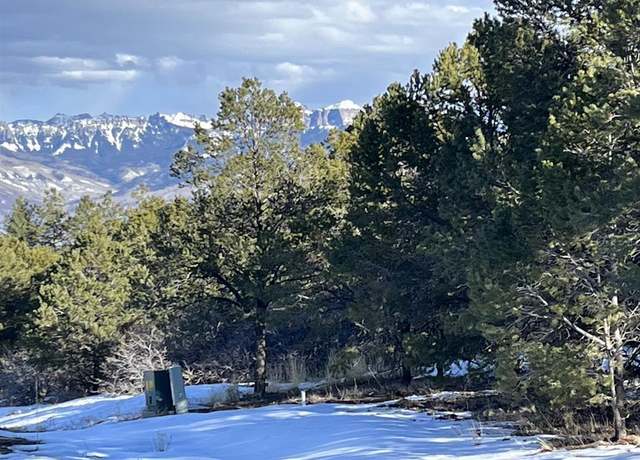 Property at TBD Cottontail Ln, Ridgway, CO 81432