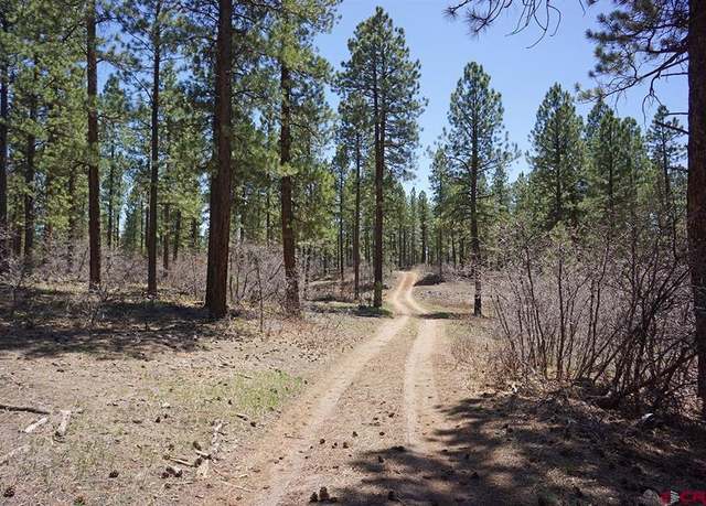 Property at 17 Road T.7, Mancos, CO 81328