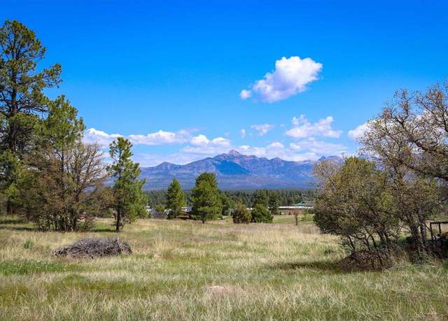 Property at 1362 Cool Pines Dr, Pagosa Springs, CO 81147