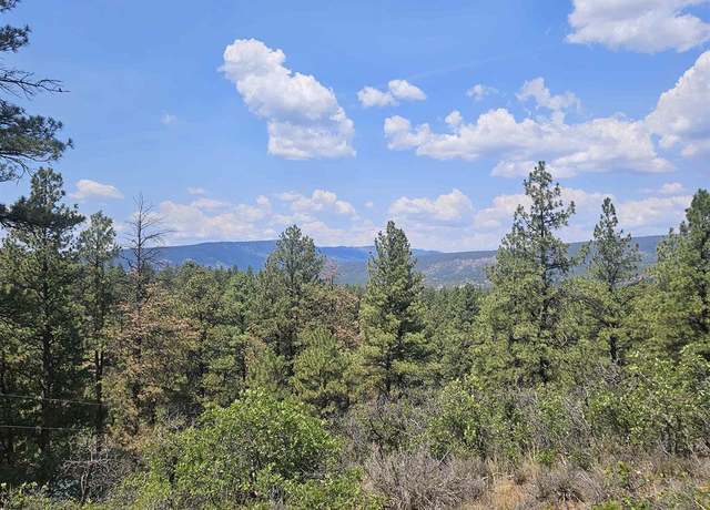 Property at 390 Evergreen, Pagosa Springs, CO 81147