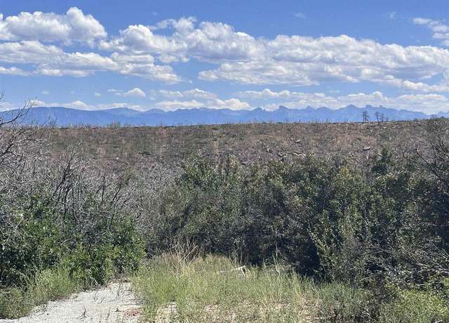 Property at 450 Barnes Point Dr, Montrose, CO 81403