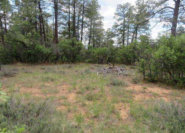 Property at 710 Doc Adams Rd, Pagosa Springs, CO 81147
