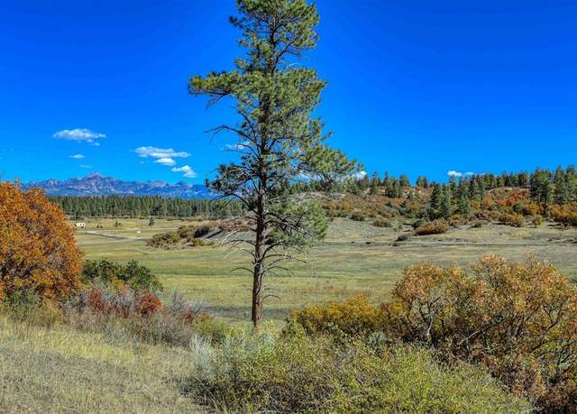 Property at 73 & 7110H Parelli Institute Dr. W  Us Hwy 160, Pagosa Springs, CO 81147
