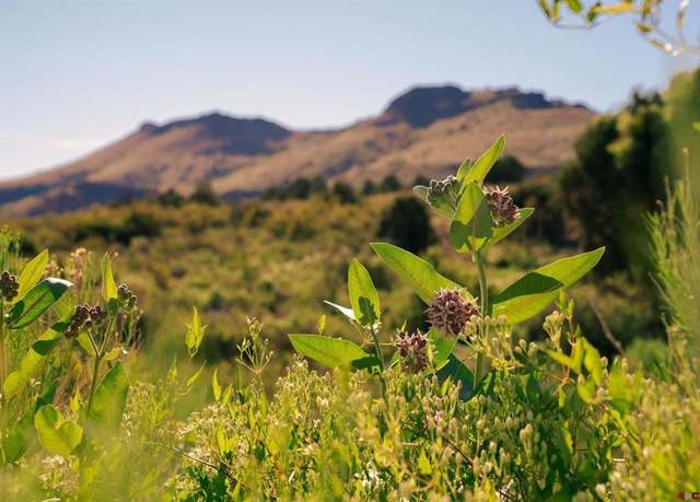 Property at Tract 12c Pronghorn Trl, Del Norte, CO 81132