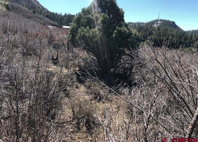 Property at 249 & 261 Jennifer Pl, Pagosa Springs, CO 81147