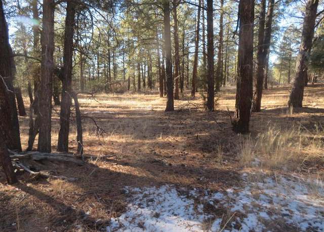 Property at 553 Crooked Rd, Pagosa Springs, CO 81147