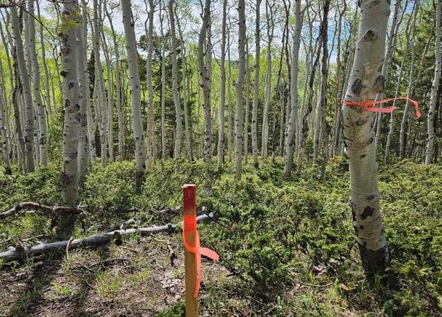 Property at 261 Crest Dr, Cimarron, CO 81220