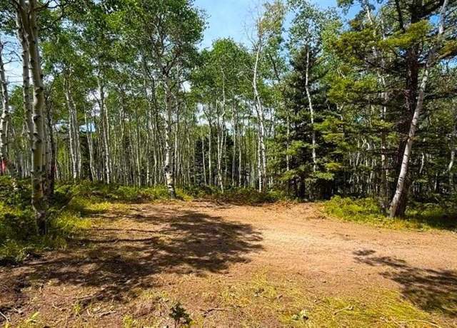 Property at 261 Crest Dr, Cimarron, CO 81220