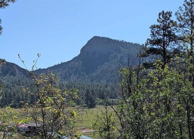 Property at 434 Bob's Pl, Pagosa Springs, CO 81147