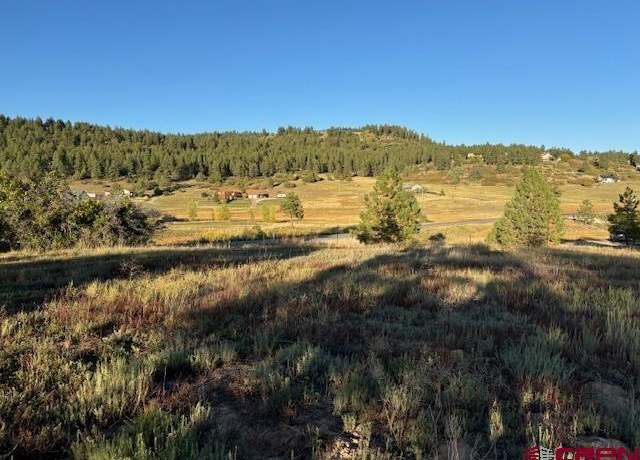 Property at 3898 N Pagosa Blvd, Pagosa Springs, CO 81147