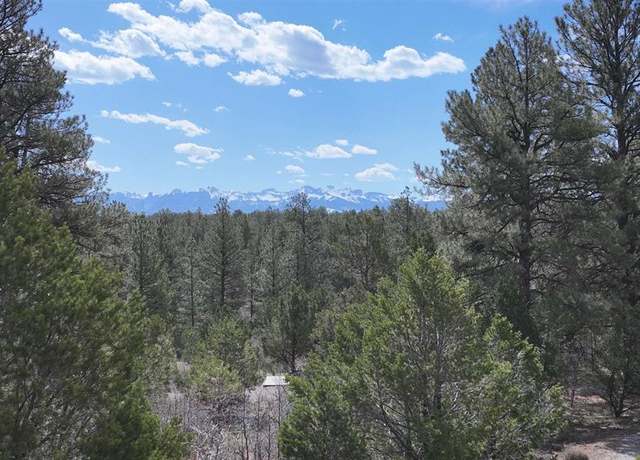 Property at 141 Big Canyon Pt, Ridgway, CO 81432