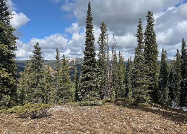 Property at Forest Service Road 550 Rd, Almont, CO 81210