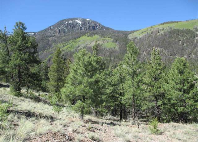 Property at 901 S Water St, Lake City, CO 81235