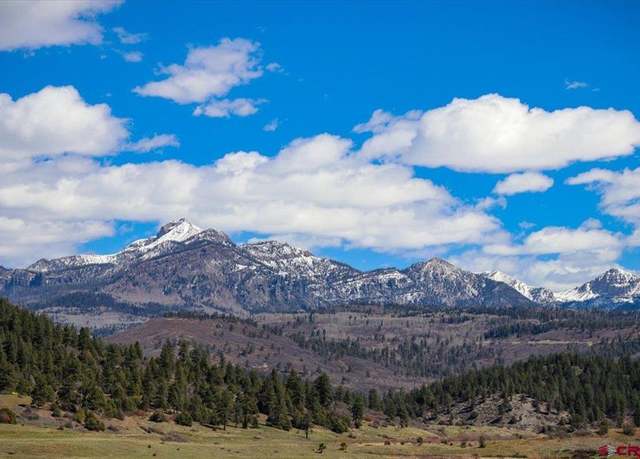 Property at 4264 County Road 600, Pagosa Springs, CO 81147