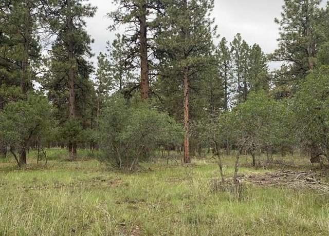 Property at Lot 430 S Badger Trl, Ridgway, CO 81432