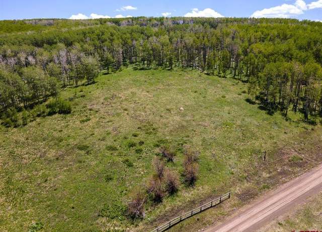 Property at 2A Spruce Mountain Trl, Placerville, CO 81430