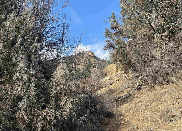Property at B3 L2 & L3 County Rd 335, Pagosa Springs, CO 81147