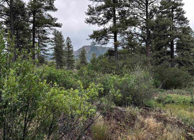 Property at 401 Deer Trl, Pagosa Springs, CO 81147