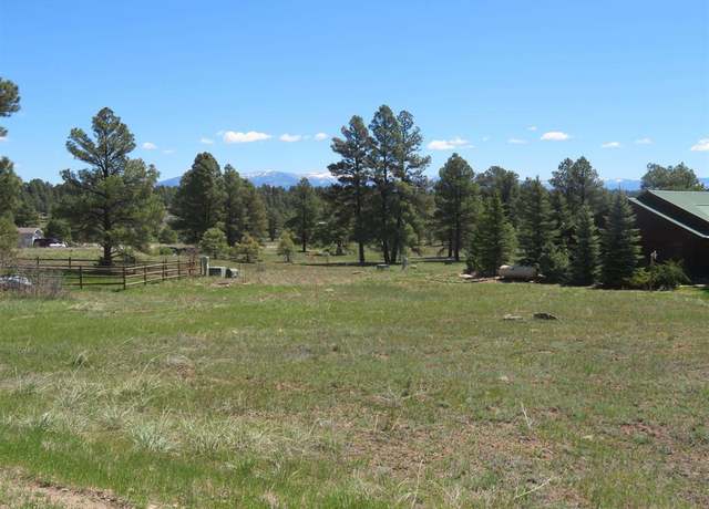 Property at 980 Trails Blvd, Pagosa Springs, CO 81147