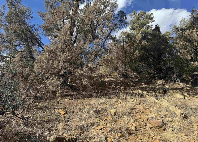 Property at B3 L2 County Road 335, Pagosa Springs, CO 81147