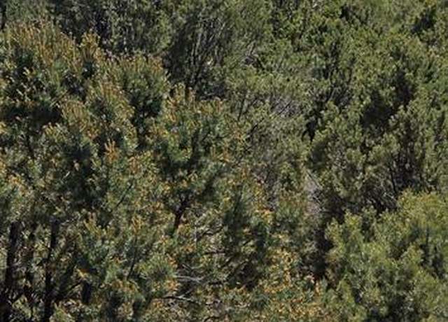 Property at 6101 County Road 1, Montrose, CO 81403