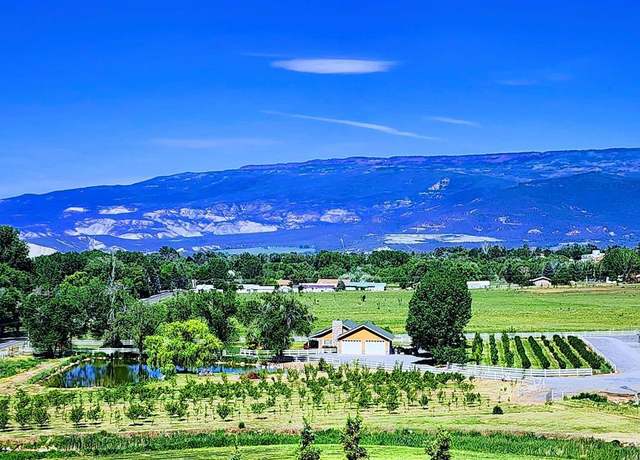 Property at 1036 E Main St, Cedaredge, CO 81413, 3 beds, 2 baths