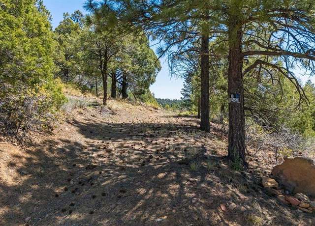 Property at 275 Logging Trail Rd, Durango, CO 81303