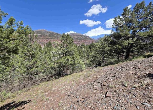 Property at 238 Pine Rdg, Ridgway, CO 81432
