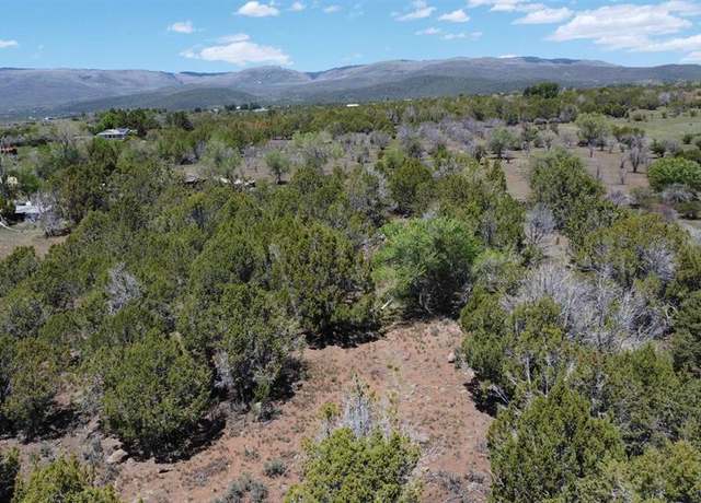 Property at TBD Surface Creek Rd, Cedaredge, CO 81413