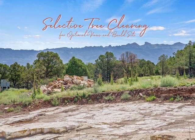 Property at 23 Pine Dr, Ridgway, CO 81432