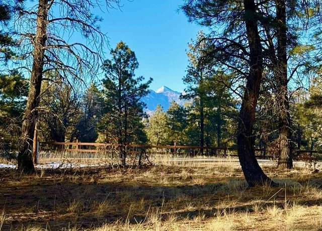 Property at 415 Oakbrush St, Pagosa Springs, CO 81147