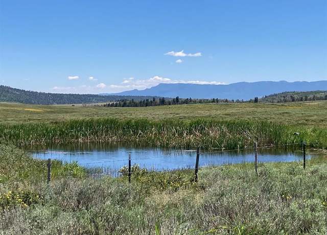 Property at Lot 19 62x Rd, Placerville, CO 81430
