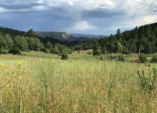 Property at 273 Crestone Pl, Pagosa Springs, CO 81147