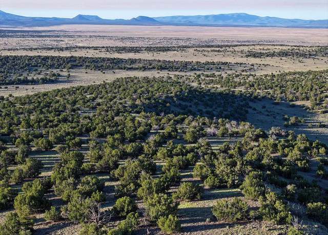 Property at 000 Omega Rd, Quemado, NM 87829