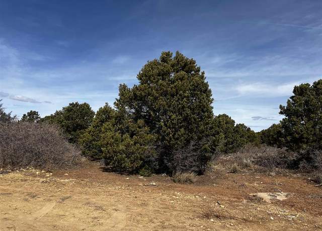 Property at Lot 1 Road J.7, Egnar, CO 81325