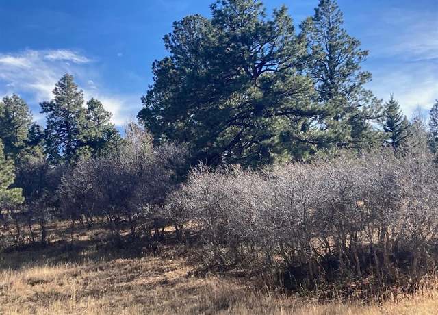Property at 155 Pronghorn Ln, Ridgway, CO 81432